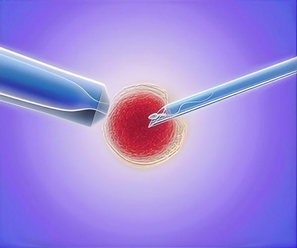 吉尔吉斯斯坦助孕的价格对比去年如何？