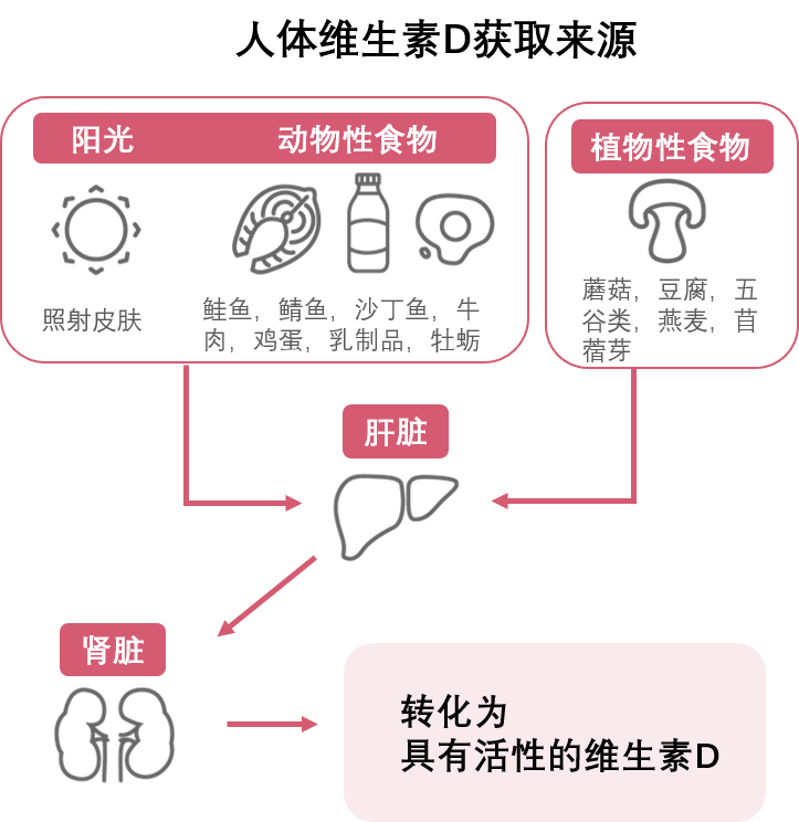试管婴儿助孕专家揭秘维生素D改善免疫异常