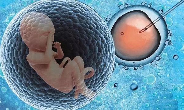 做试管婴儿前必须知道的6个真相，揭开试管出生无影响的谜团