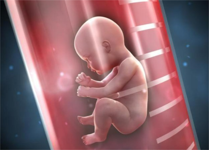 美国试管婴儿流程详解：从咨询到验孕的全攻略