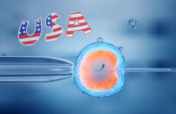 美国试管婴儿技术：全球领先地位下的真实数据与多维剖析