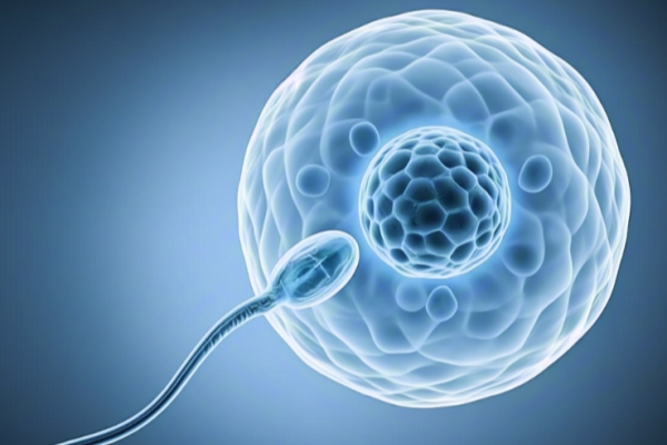 赴吉尔吉斯斯坦试管治疗：精卵质量的关键要求