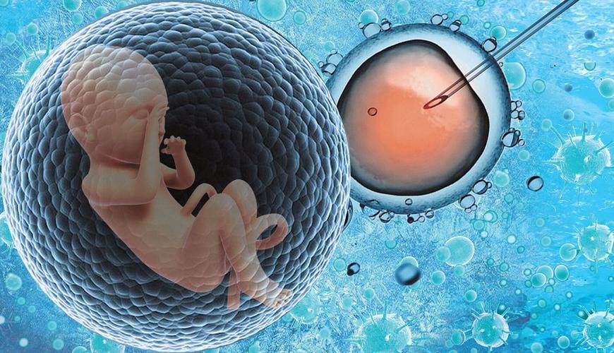 美国辅助生殖法律全览：单身者与LGBTQ+群体如何合法实现生育愿望？