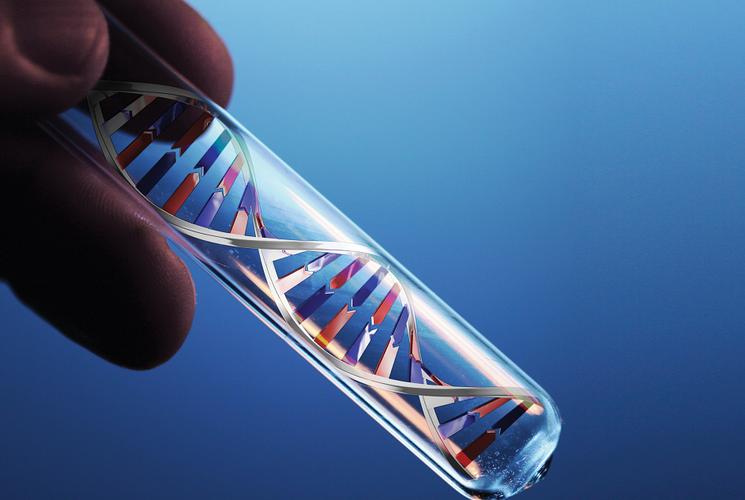 美国试管婴儿技术：基因检测与胚胎培育的全球引领者