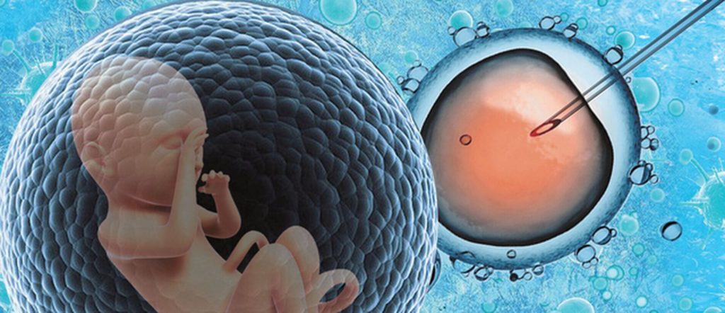 美国试管婴儿全流程指南：从前期准备到胚胎移植的详尽解析