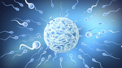 单身赴吉尔吉斯斯坦试管必看！行前检查这些细节，决定你是否能抱娃回家