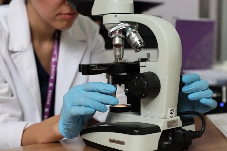 吉尔吉斯斯坦的辅助生殖技术涵盖哪些关键领域