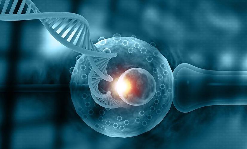 赴美 IVF 攻略：福缘汇伴你 28 天开启跨国生育之旅