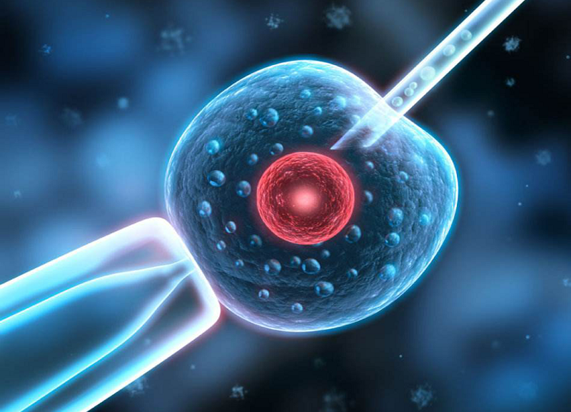 吉尔吉斯斯坦的试管助孕保障水平究竟如何？