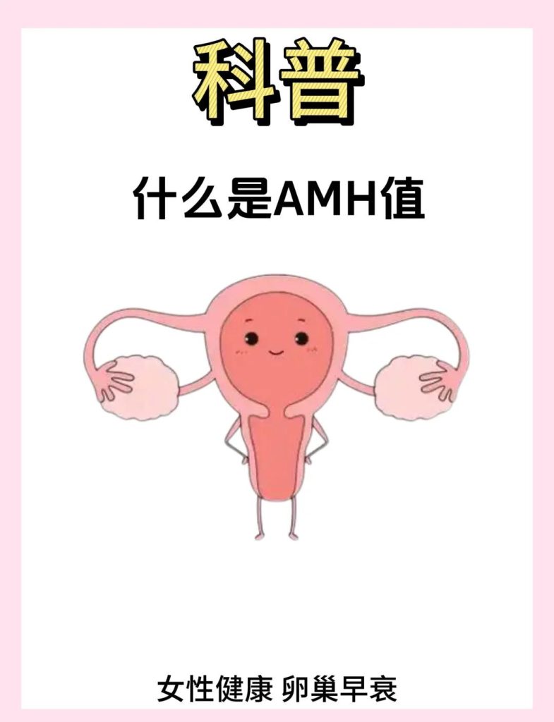 读懂 AMH：解锁女性生育潜力的 “健康密码”