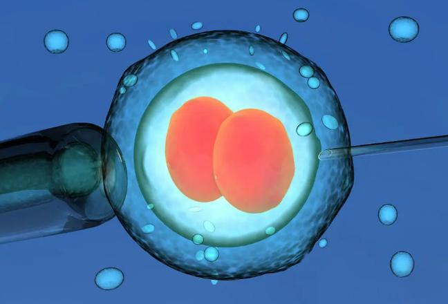 吉尔吉斯斯坦试管婴儿助孕全流程指南