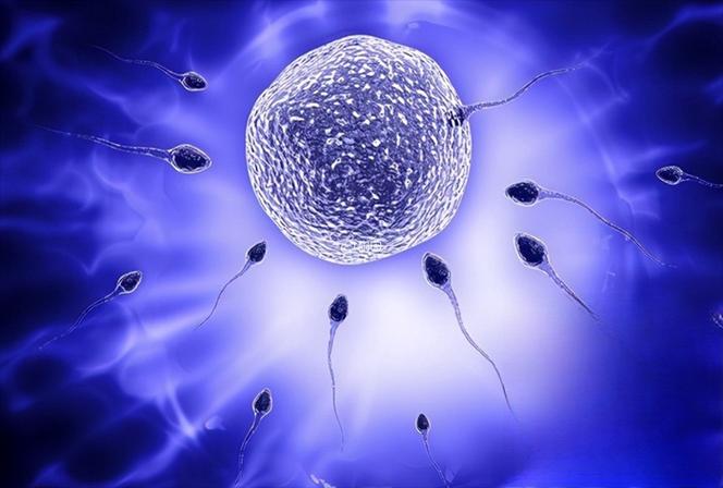 美国 IVF 高成功率的核心密码：三重维度协同发力