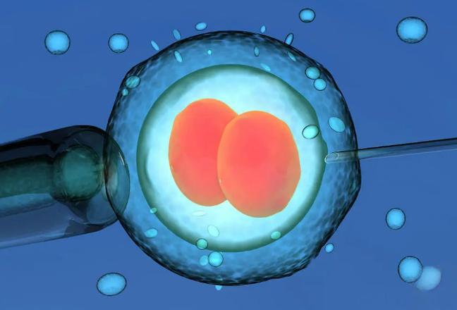福缘汇专属攻略：吉尔吉斯斯坦诞宝回国全程无忧指南