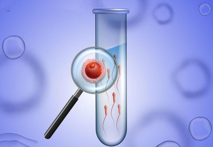 2026赴美生子安心指南 福缘汇以专业护航跨境孕产之路