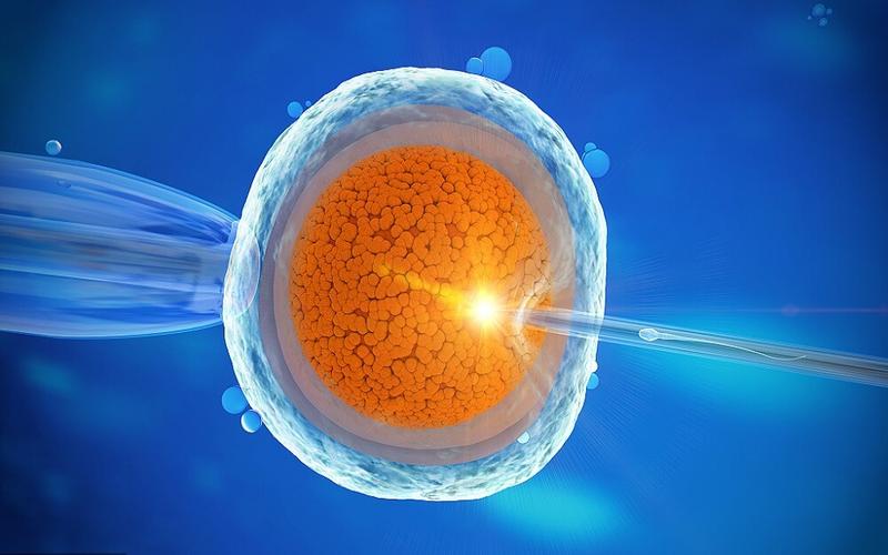 格鲁吉亚试管圆梦指南：8 步走通海外助孕全流程，求子路上不迷茫