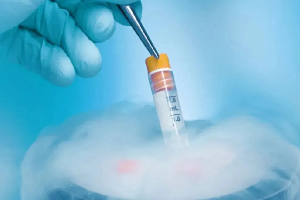 福缘汇｜准备去吉尔吉斯斯坦试管要宝宝？先花 5 分钟搞懂这 8 句 “暗语”，不会吃亏！